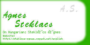 agnes steklacs business card